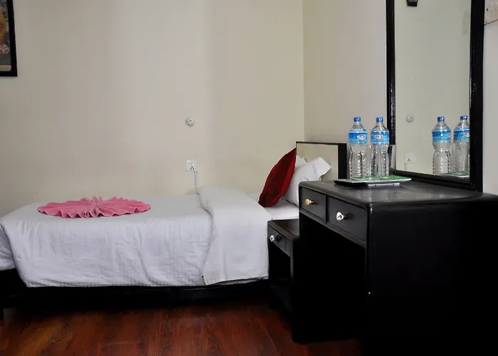 The Pleasure Hotel