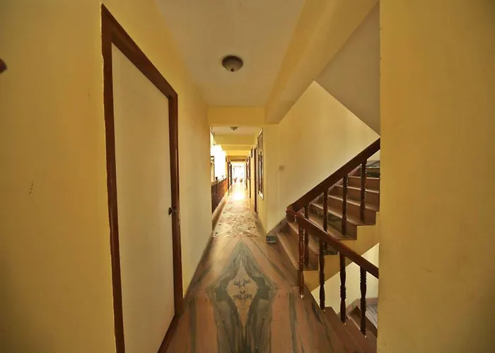 The Pleasure Hotel 3*